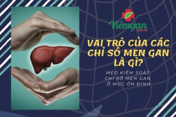 vai-tro-chi-so-men-gan