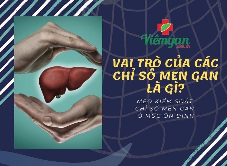 Vai trò của các chỉ số men gan & cách kiểm soát chỉ số men gan ổn định 1