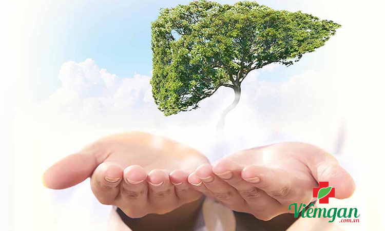 Tại sao phải giải độc gan? 1 Tại sao phải giải độc gan? 1