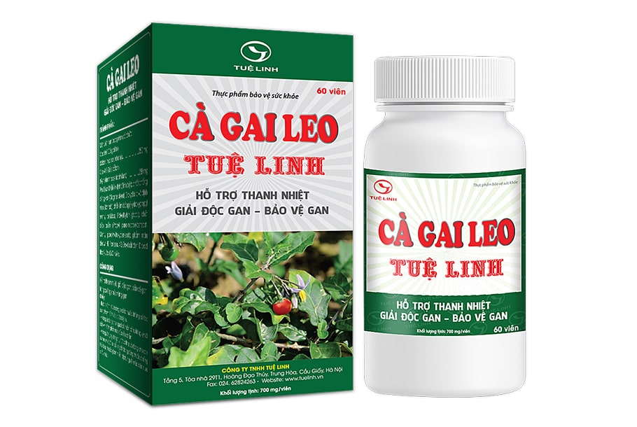 Cách kết hợp Cà gai leo và Giảo cổ lam hiệu quả 2