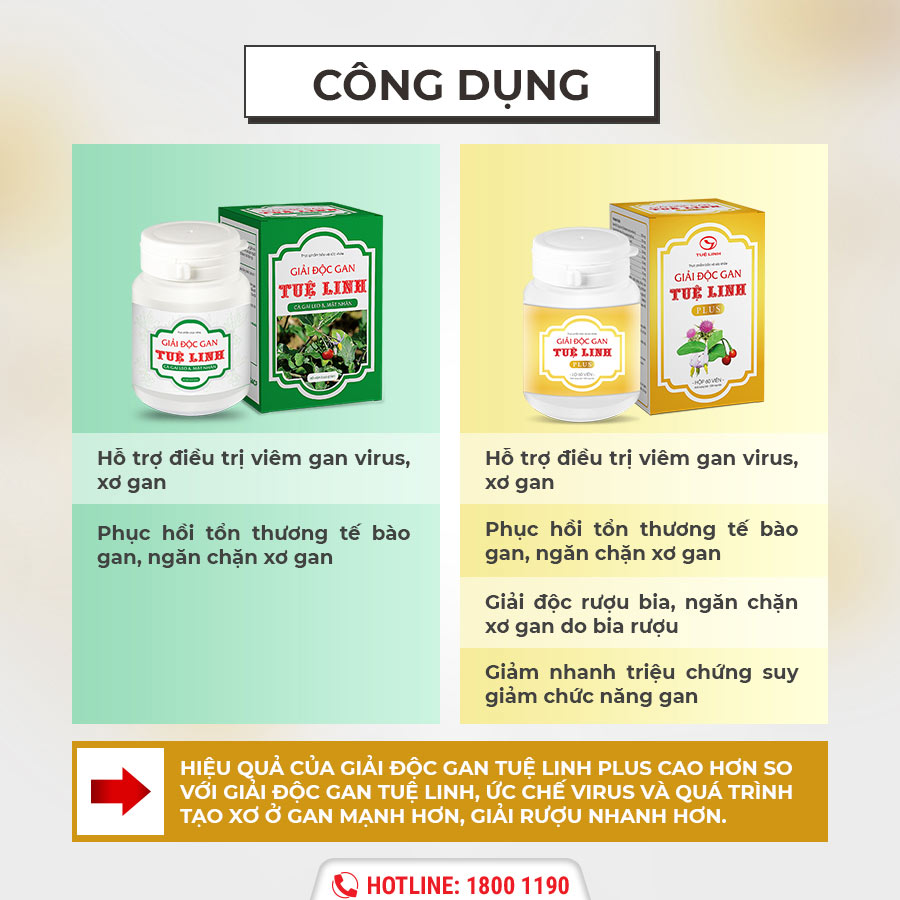 2. Cà gai leo kết hợp mật nhân – Bộ đôi thảo dược giúp hàng nghìn người thoát bệnh hiểm mỗi năm! 5