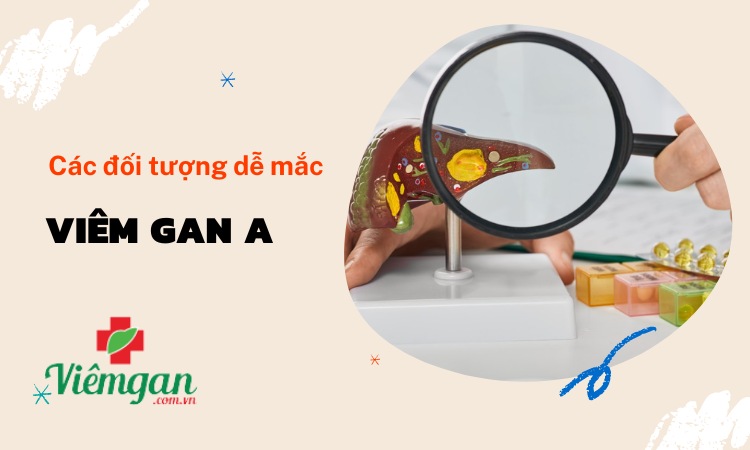 Đối tượng nào dễ bị mắc viêm gan A ? 1