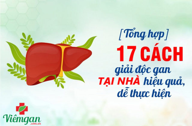 Bật mí 17 cách giải độc gan tại nhà đơn giản và hiệu quả Bật mí 17 cách giải độc gan tại nhà đơn giản và hiệu quả