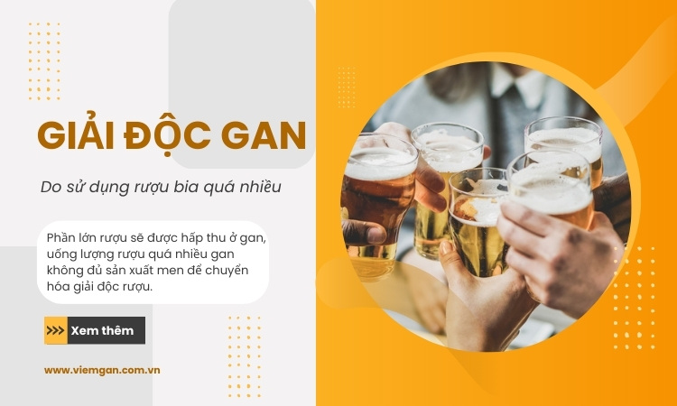 Phương pháp giải độc gan do sử dụng rượu bia quá nhiều 1