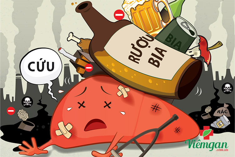 Tác hại của bia rượu với lá gan 1