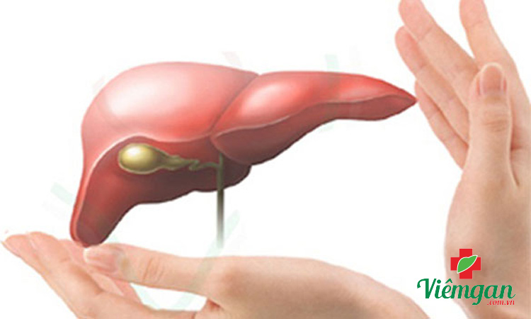 Thải độc gan là gì? 1