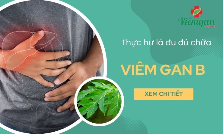 Thực hư lá đu đủ chữa viêm gan B 1