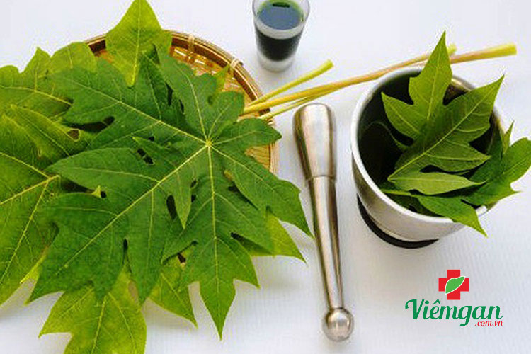 Hỗ trợ điều trị triệu chứng sốt xuất huyết 1