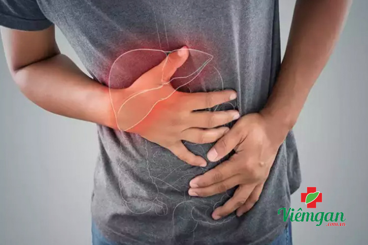 Xơ gan độ 2 là gì? 1 Xơ gan độ 2 là gì? 1