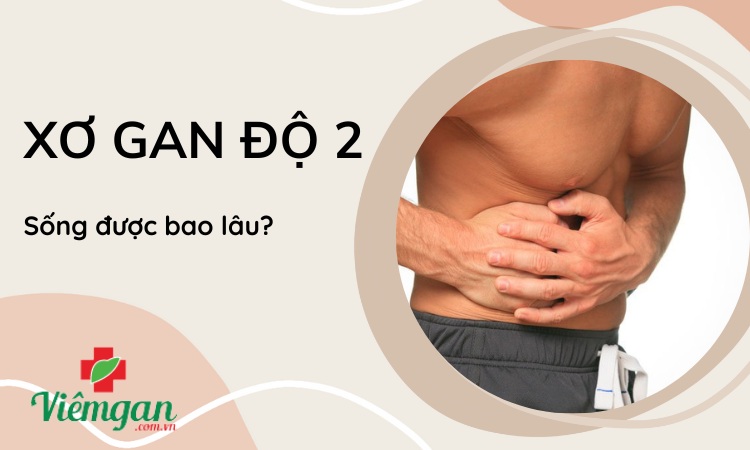 Xơ gan giai đoạn f2 sống được bao lâu? 1