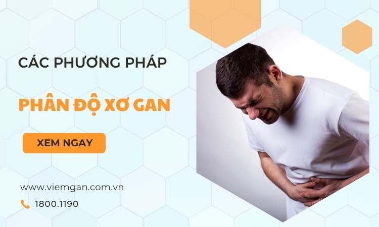 Phân độ xơ gan và cách nhận biết các cấp độ 1 Phân độ xơ gan và cách nhận biết các cấp độ 1