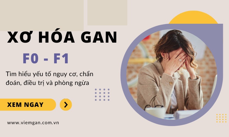 Độ xơ hóa gan F0 - F1 cách chẩn đoán nhanh và điều trị 1