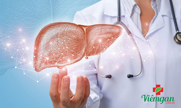 Kế sữa dùng chữa bệnh gan 1 Kế sữa dùng chữa bệnh gan 1