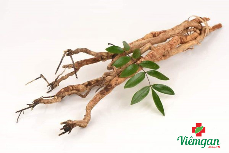 Một số bài thuốc chữa bệnh từ mật nhân 1