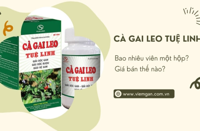 Cà gai leo Tuệ linh hộp bao nhiêu viên? Giá bán bao nhiêu? Cà gai leo Tuệ linh hộp bao nhiêu viên? Giá bán bao nhiêu?