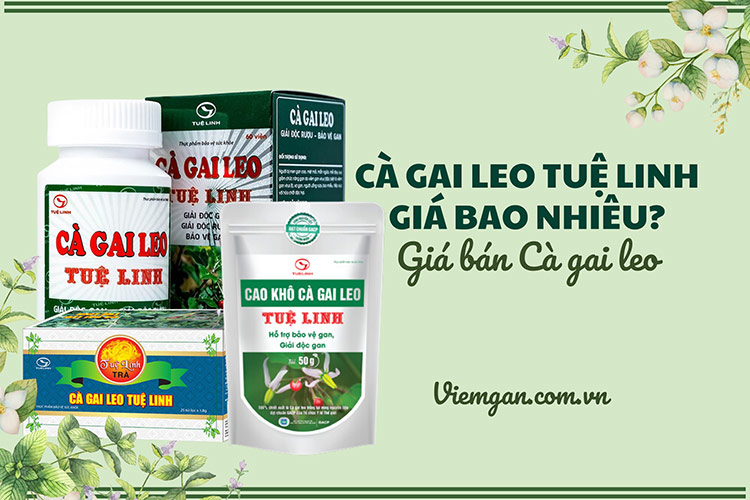 Các dòng sản phẩm Cà gai leo Tuệ Linh và giá bán! 1