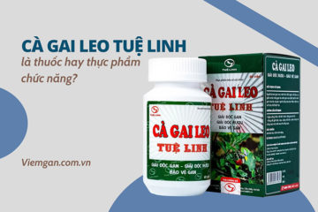 Cà gai leo Tuệ Linh là thuốc hay thực phẩm chức năng?