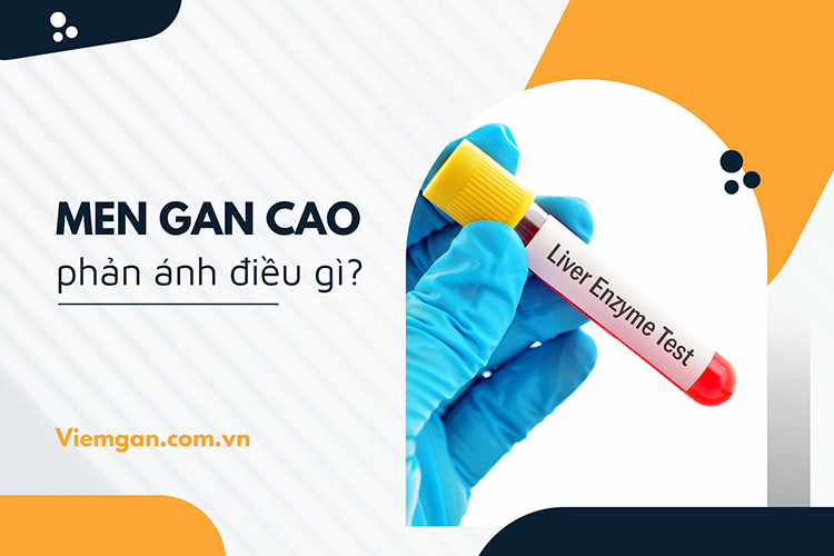 Khi nào chỉ số men gan cao, khi nào là bình thường? 1