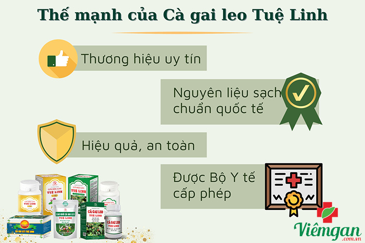 Điều gì khiến Cà gai leo Tuệ Linh được ưa chuộng? 1