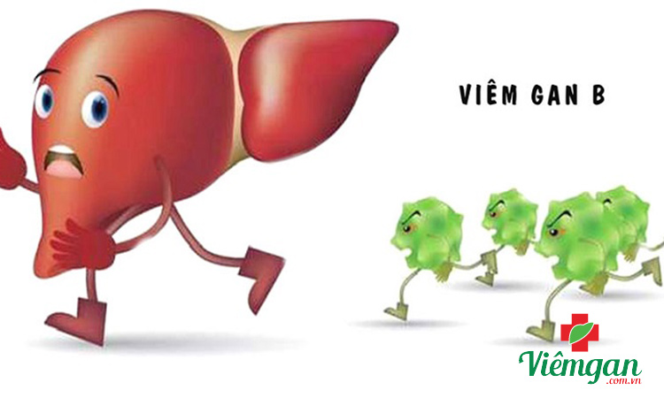 Nguyên nhân gây xơ gan 1 Nguyên nhân gây xơ gan 1