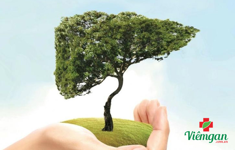 Vì sao cần giải độc gan? 1 Vì sao cần giải độc gan? 1