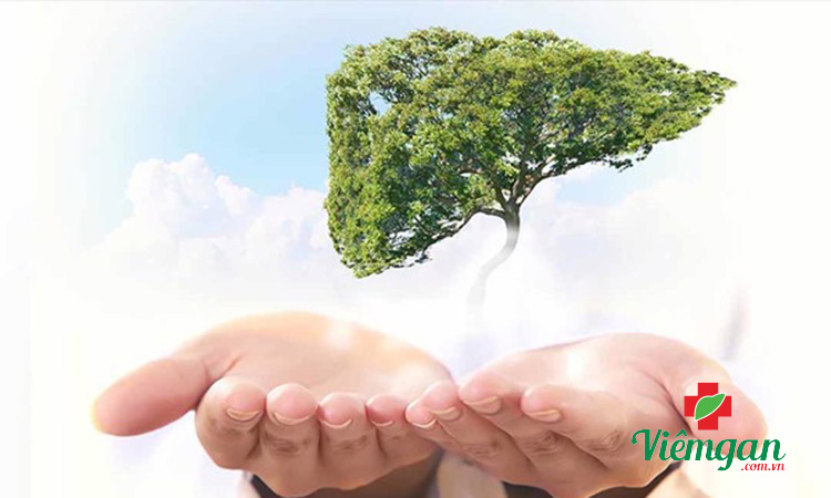 Vì sao cần thanh nhiệt giải độc gan? 1