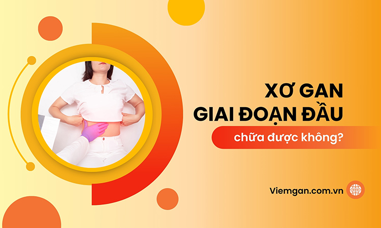 Bệnh xơ gan giai đoạn đầu có thể chữa được không? 1 Bệnh xơ gan giai đoạn đầu có thể chữa được không? 1