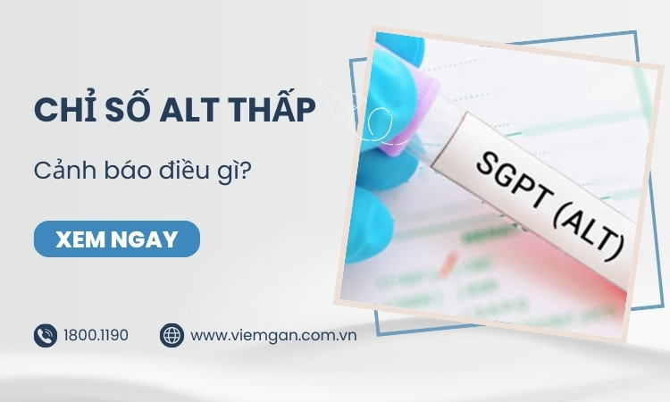 Chỉ số ALT thấp cảnh báo điều gì? 1 Chỉ số ALT thấp cảnh báo điều gì? 1