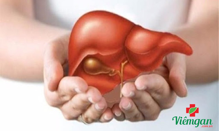 Giải độc gan 1 Giải độc gan 1