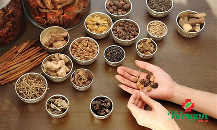 Các bài thuốc Đông y điều trị viêm gan B nổi bật 1 Các bài thuốc Đông y điều trị viêm gan B nổi bật 1