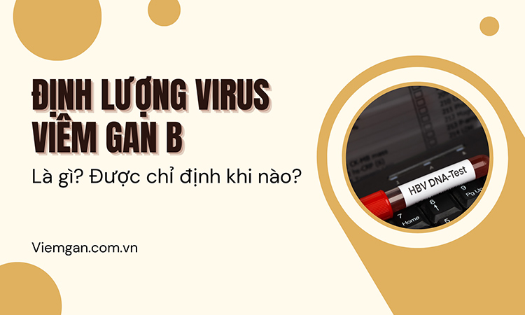 Định lượng virus viêm gan B để trị bệnh hiệu quả! 1 Định lượng virus viêm gan B để trị bệnh hiệu quả! 1