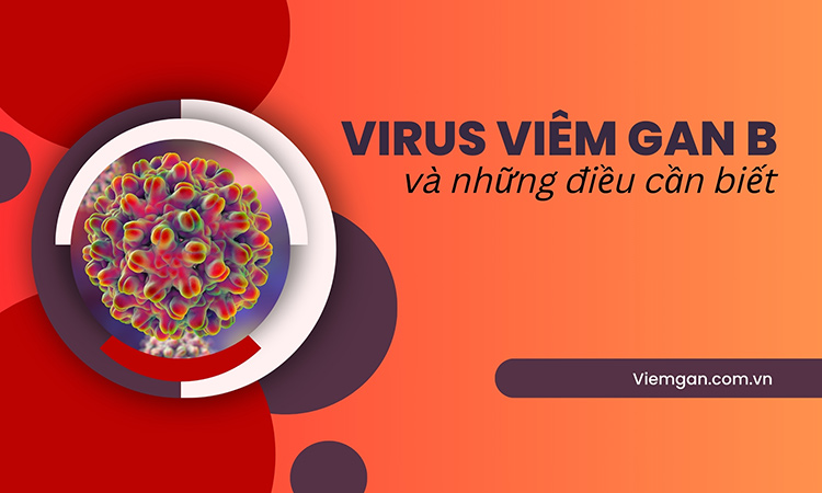 Virus viêm gan B: Tiến trình gây bệnh và cách phòng ngừa 1
