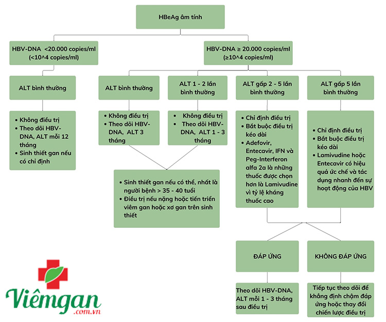 Bệnh nhân đang dùng Nucleos(t)ide analogues (NAs) 2