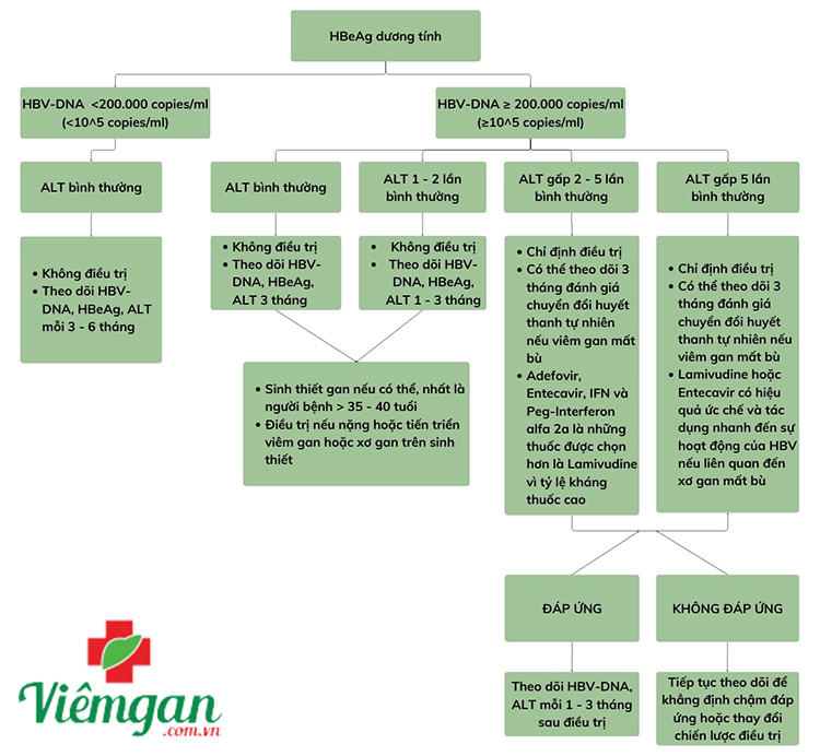 Bệnh nhân đang dùng Nucleos(t)ide analogues (NAs) 1