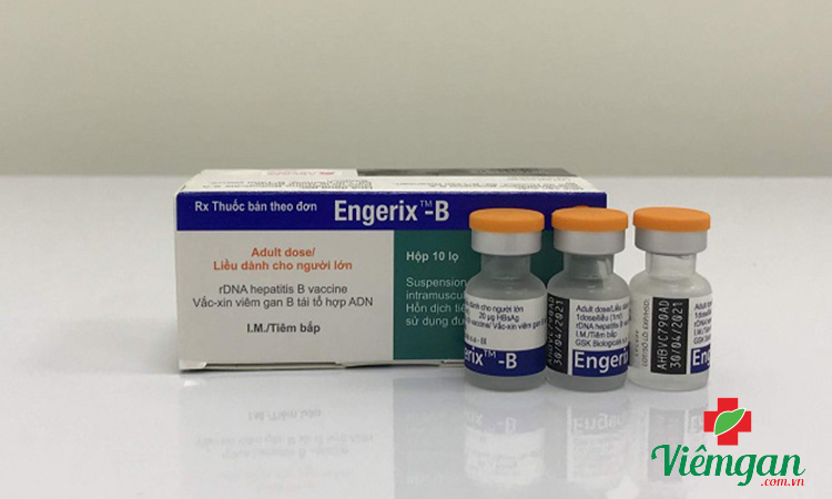 Chích ngừa viêm gan B bao nhiêu mũi tùy thuộc loại vắc xin 2 Chích ngừa viêm gan B bao nhiêu mũi tùy thuộc loại vắc xin 2