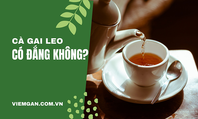 Cà gai leo có đắng không, mùi vị thế nào? 1