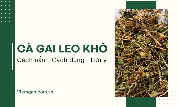 Cà gai leo khô: Cách nấu, cách dùng, lưu ý khi sử dụng! 1
