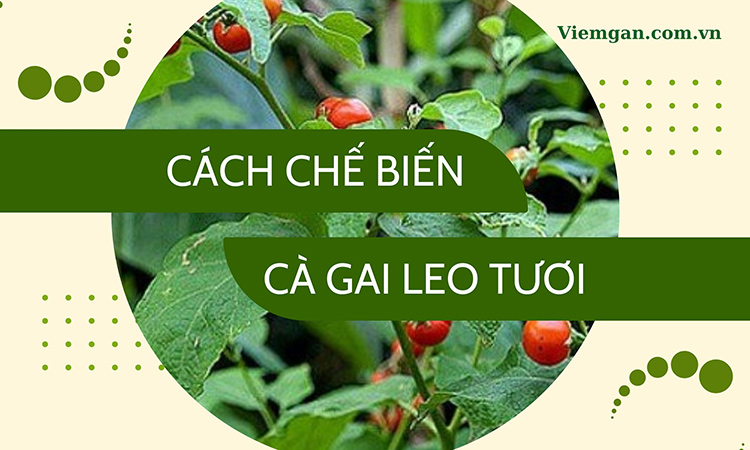 Cách chế biến cà gai leo tươi chuẩn tại nhà 1