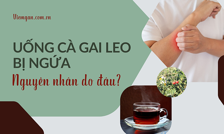 Uống cà gai leo bị ngứa do đâu khắc phục cách nào? 1