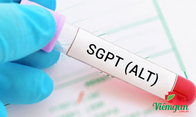 Các chỉ số xét nghiệm chức năng gan 1 Các chỉ số xét nghiệm chức năng gan 1