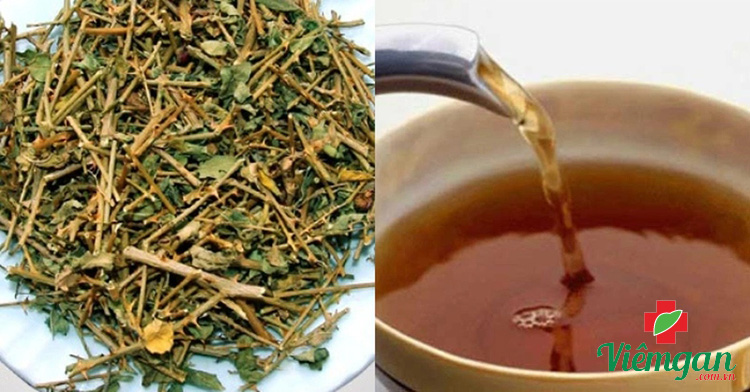 Một vài lưu ý khi uống Cà gai leo 1