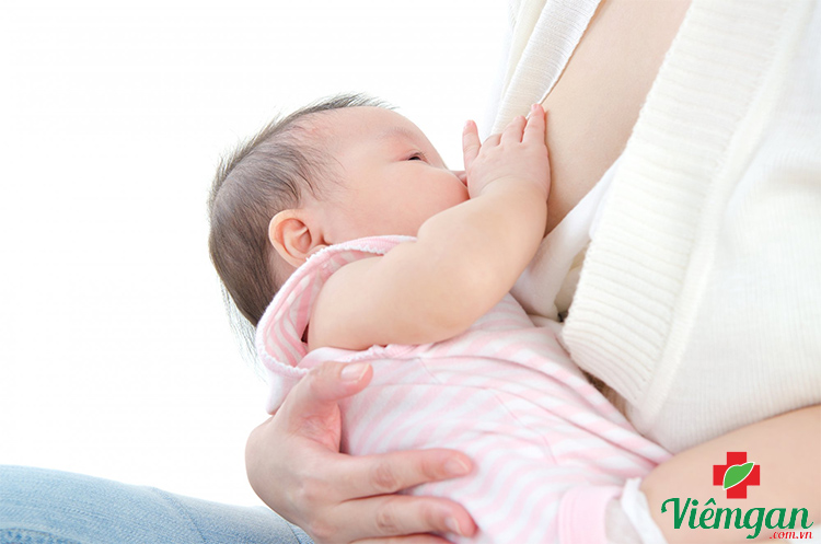 Phụ nữ cho con bú dùng cà gai leo được không? 1