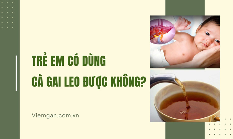 Trẻ em có dùng được Cà gai leo không? 1