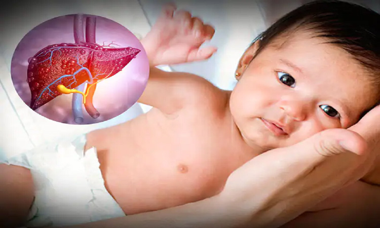 Trẻ em có dùng được cà gai leo không? 1