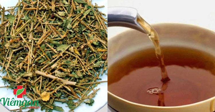 Trường hợp trẻ có thể được xem xét dùng Cà gai leo 1